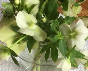 Friday-Flowerday – oder – Zarte Christrosen in der Glaskugel