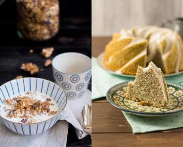 Jänner-Rückblick und es hat sich viel getan!