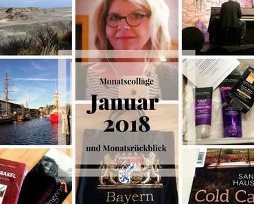 Januar 2018 – Meine Monatscollage und Monatsrückblick
