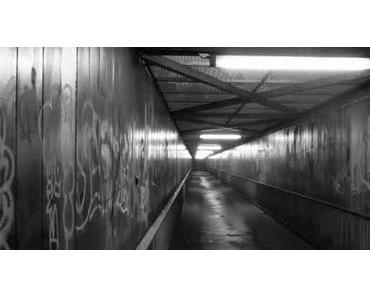 Tiergartentreppe, Wuppertal