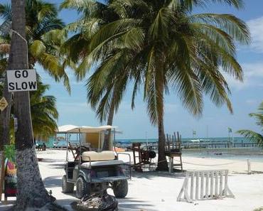 You better belize it: Mein Leben bei PAW