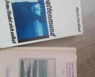 Die Irlandreise- Roman einer Ehe