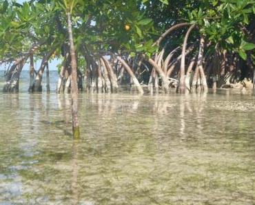 You better belize it: Reisen und Natur