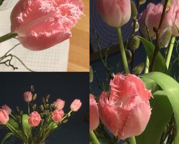 Friday-Flowerday – oder – Von (Papageien)-Tulpen und Weiden-(Kätzchen)