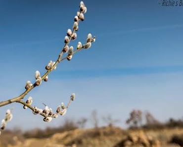 Richie´s Blick auf die Welt #DerFrühlingIstDa #Steinbruch #WunderschöneNatur