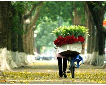 5 ideale Vietnams Reiseziele im April