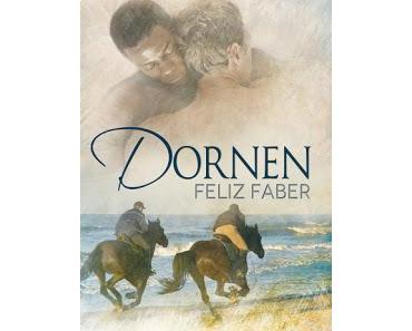 [Rezension] Felix Faber - Dornen
