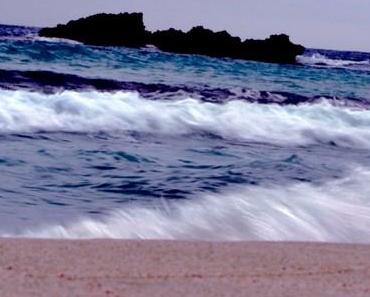 wallpaper-1689754