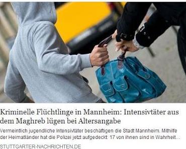 Polizei Mannheim geht gegen staatlich organisierten Asylbetrug vor
