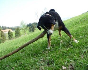 Grenzgänger und Grenzgängerin