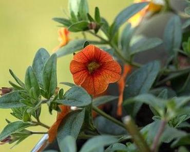 Alles neu macht der Mai – oder April?