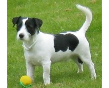 Charaktertest - So kann man sich irren!