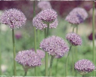 Nice day / Schöner Tag