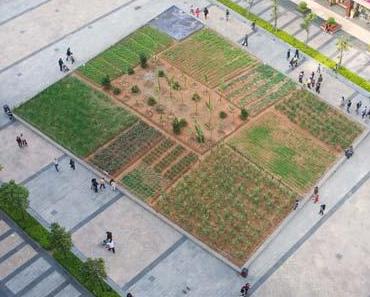urbane Landwirtschaft in Shenzhen/China