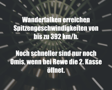 wallpaper-1689754