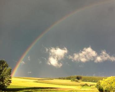 wallpaper-1689754