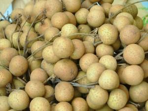 In Thailand Longans ernten, essen und erleben