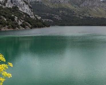 wallpaper-1689754