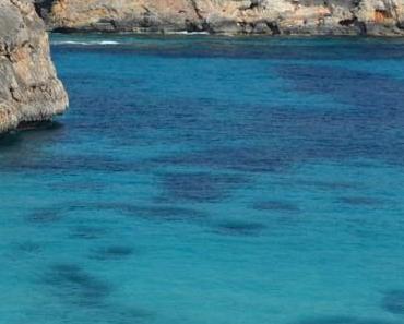 wallpaper-1689754