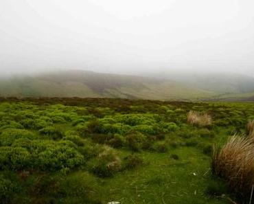 Irland – Eine Gruppenwanderung