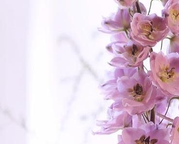 wallpaper-1689754