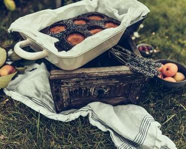 Schoko-Marillenkuchen vom Blech. Wunderbar einfach – einfach wunderbar.