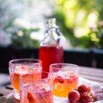 Erdbeeren-Limetten-Gin