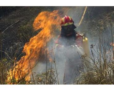 Bitte kein Feuer machen, auf gar keinen Fall