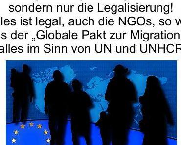 Keine Wohnungen für Obdachlose, aber Millionen Armutsmigranten einladen, so funktioniert deutsche Politik im „Globalen Pakt für Migration“