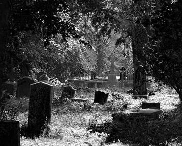Friedhof – Powerscourt Gardens