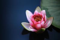 wallpaper-1689754