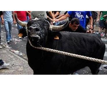„Correbou“ in Fornalutx ohne besondere Vorkommnisse