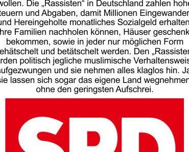 Die SPD sieht nur Nazis, unfähig Berufsdemonstranten von besorgten Bürgern zu unterscheiden, Volksinteressen scheinen unbekannt zu sein
