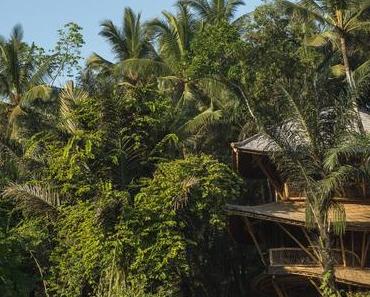 Green Village – Der Barfuß-Luxus im Bambushaus