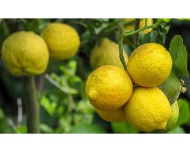 Waschmaschinen reinigen: Hausmittel gegen Schimmel und Gerüche