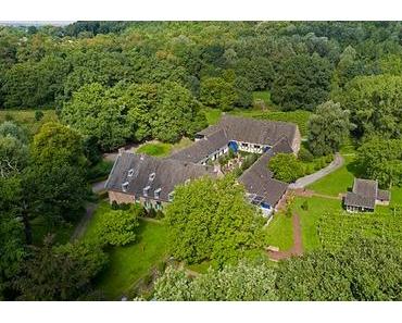 Goldene Ohrringe im Herbst