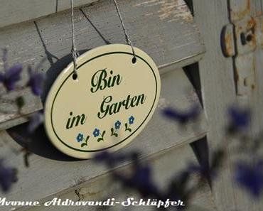 Spaziergang durch den Oktober-Garten