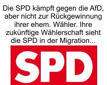 Die SPD kämpft gegen die AfD, aber nicht um die Rückgewinnung ihrer ehemaligen Wählerschaft