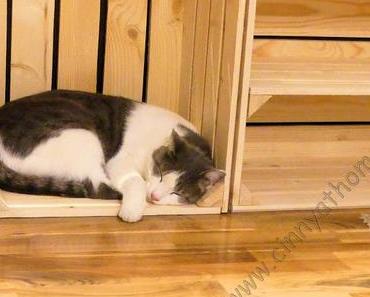 Ich habe neue Möbel aus Obst- und Weinkisten gemacht #Obst-Weinkisten #Holz #Sotoll