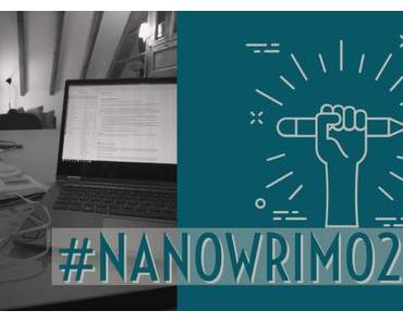 #NaNoWriMo 2018 – ich war dabei! Bekomme ich jetzt eine Teilnehmerurkunde?