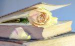 wallpaper-1689754