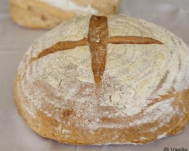 Auch bei mir angekommen: der Brotback-Trend (selbstgebackenes Vollkornbrot)