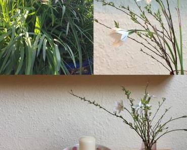 Friday-Flowerday – oder – Vom Balkon auf den Tisch