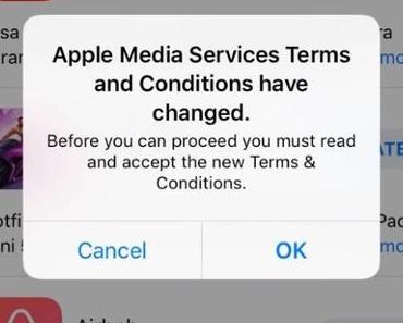 Apples App Store für iOS in Endlosschleife