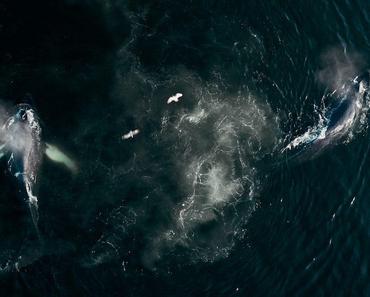 wallpaper-1689754