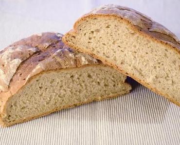 Weizenmischbrot mit Joghurt (ohne Sauerteig)