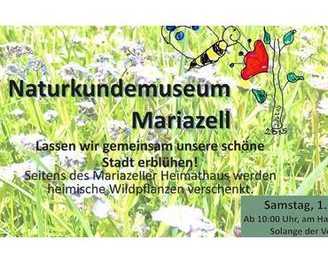 „Blühende und summende Steiermark“- Naturkundemuseum Mariazell