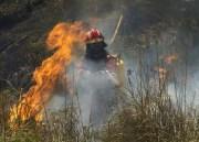 Auch 2019 – Erhöhte Waldbrand-Gefahr