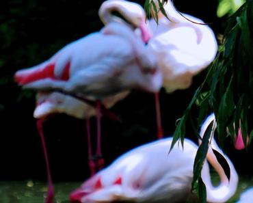 wallpaper-1689754