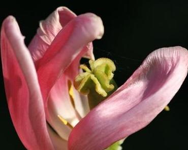 12 von 12. Eigentlich.